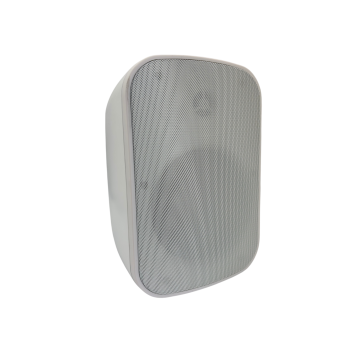 WIP-660R Wall Mount Speakers
